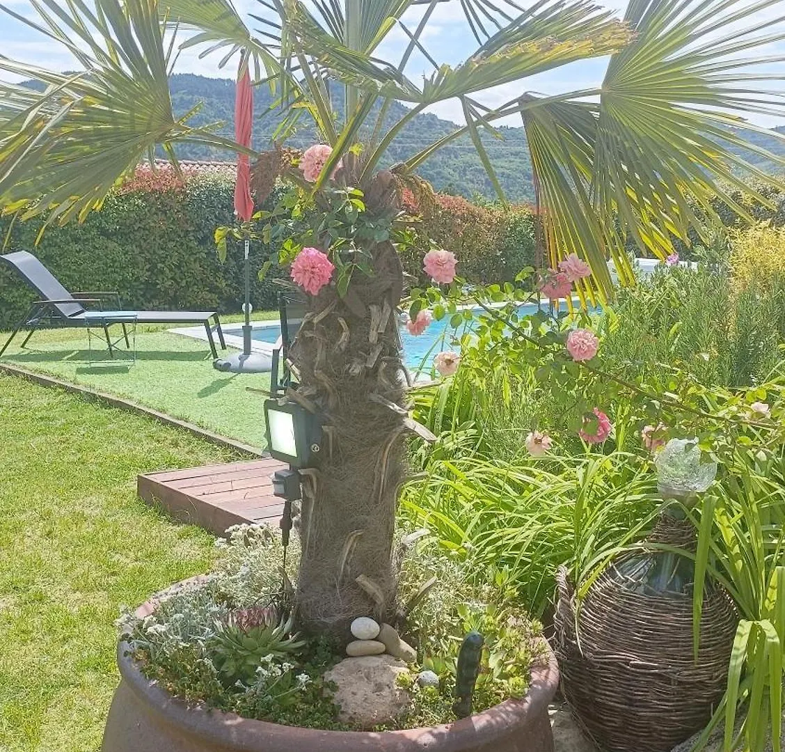 Le Jardin De Nigelle , Bas De Villa En Provence Mallemoisson